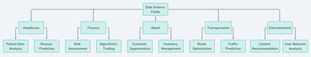 From Grassroots to Stardom: The Journey of A Data Scientist 2 Starting as a Data Scientist