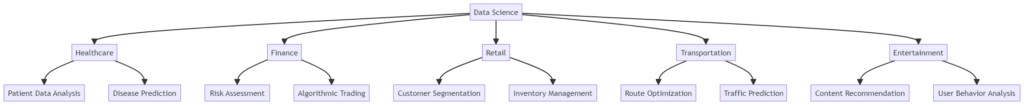 From Grassroots to Stardom: The Journey of A Data Scientist 4 journey to becoming a data scientist